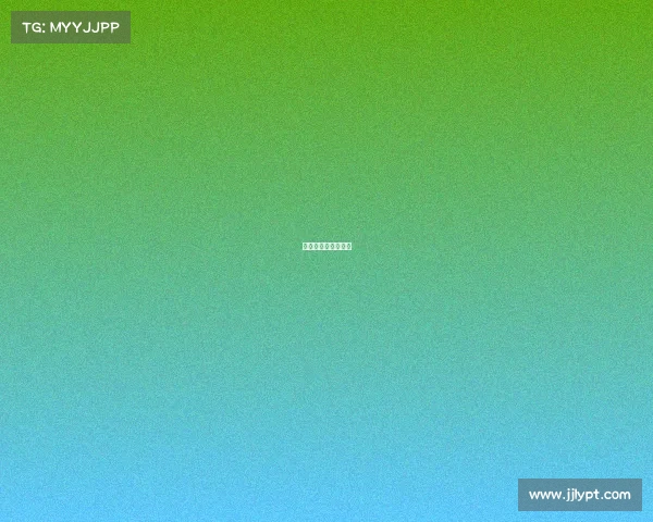 有含金量的金融比赛